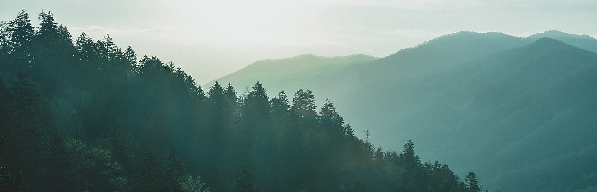 Pharmro Chester